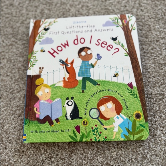 Usborne Lift-the-Flap Book - How Do I See? - Picture 1 of 3